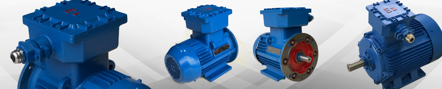 AC Elektrik Motorları